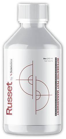 Russet - IPM