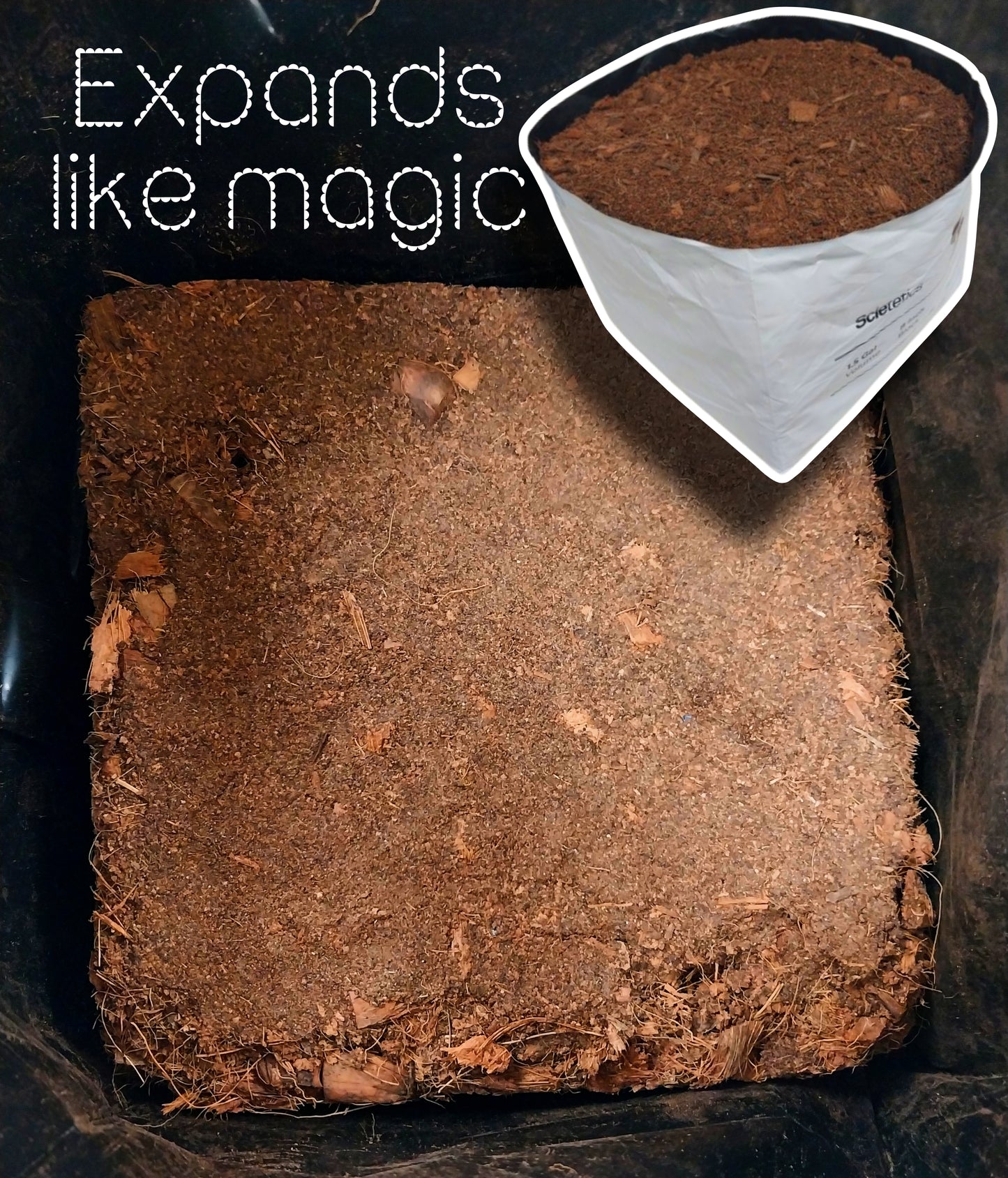 SCIETETICS COCO 8" BLOCK (1.5 Gallon Volume)