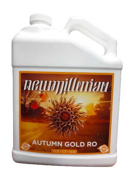 AUTUMN GOLD RO UNVRSL