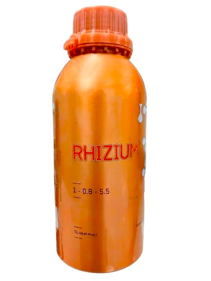 Rhizium