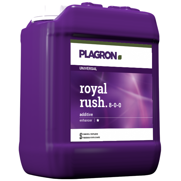 Royal Rush