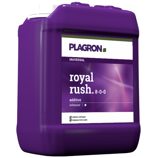 Royal Rush